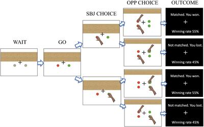 Event-Related Potentials During Decision-Making in a Mixed-Strategy Game